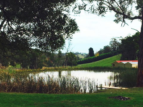 Gracefield Estate - Accommodation BNB 0
