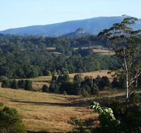 Grey Gum Lodge - Accommodation BNB