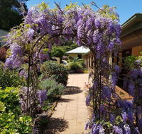 Gumtree House Montville - Accommodation BNB