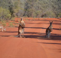 Gundabooka National Park Cottages - Accommodation BNB
