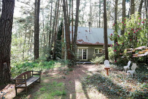 Holly Lodge Medlow Bath - Accommodation BNB 3