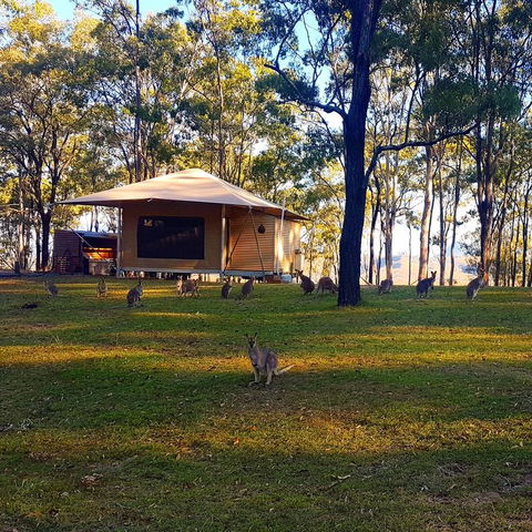 Ketchup's Bank Glamping - Accommodation BNB 3