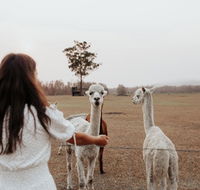 Laurina Estate - Accommodation BNB
