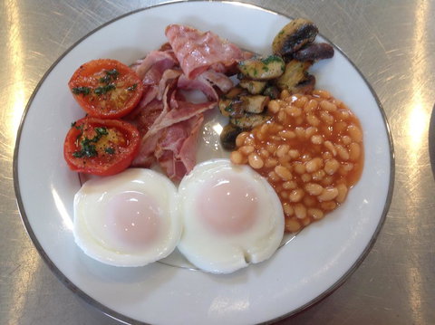 Lush Pastures - Accommodation BNB 1