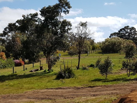 Margies Place - Accommodation BNB 1