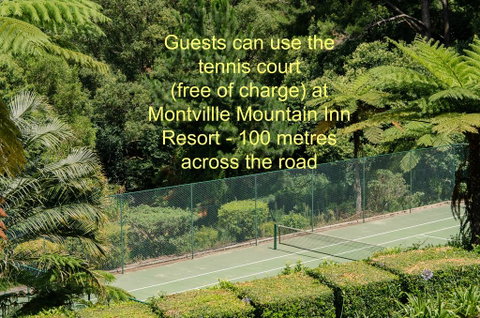 Mayfield On Montville - Accommodation BNB 2