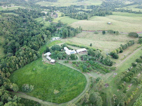 Mena Creek Flower House - Accommodation BNB 3