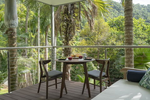 Mist At Cape Tribulation - Accommodation BNB 2