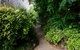 Mountain Sojourn - thumb 1