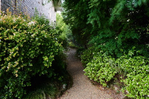 Mountain Sojourn - Accommodation BNB 1