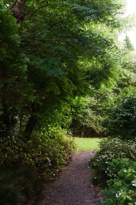 Mountain Sojourn - Accommodation BNB 3