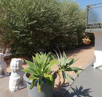 Mt.Lawley superb 2 BR Apartment Ideally located 5 - Accommodation BNB