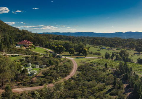 Mudgee Homestead Guesthouse - Accommodation BNB 1