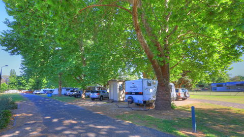Myrtleford Holiday Park - Accommodation BNB 1