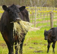 Naimanya Cottage - Accommodation BNB