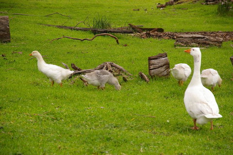 Naimanya Cottage - Accommodation BNB 3