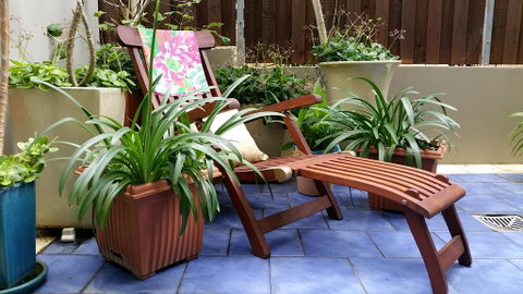 Narrabeen Beachside Townhouse - Accommodation BNB 0