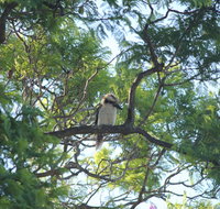 Jacaranda Hideaway Bed & Breakfast - Accommodation BNB