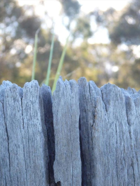 Swan Valley Sisters - Accommodation BNB 28