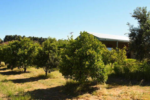 Swan Valley Sisters - Accommodation BNB 30