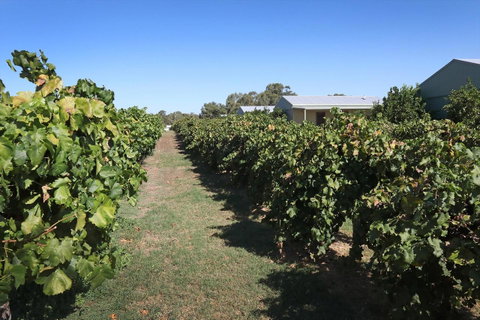 Swan Valley Sisters - Accommodation BNB 9