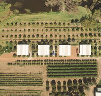 Swan Valley Sisters - Accommodation BNB