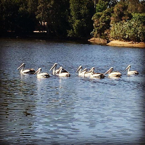 Swan Valley Sisters - Accommodation BNB 31