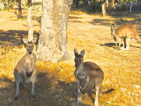 Sandpiper Retreat - Accommodation BNB 37