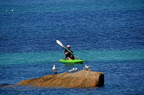 Sandpiper Retreat - Accommodation BNB 29