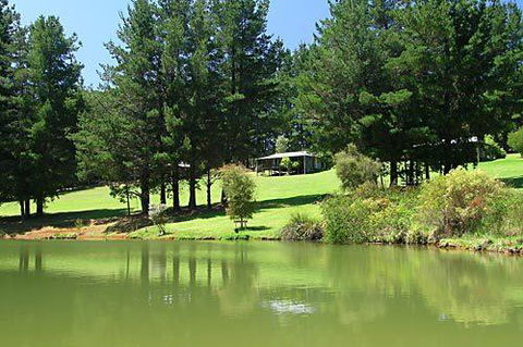 Hawke Brook Chalets - Accommodation BNB 2