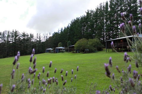 Hawke Brook Chalets - Accommodation BNB 1