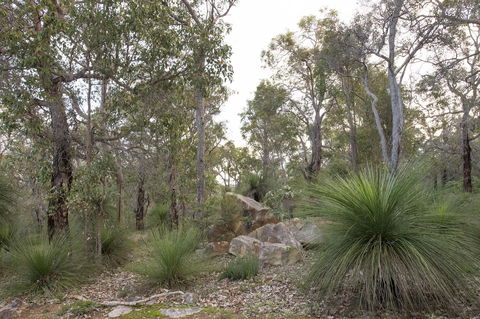 A Hidden Bush Delight - Accommodation BNB 23