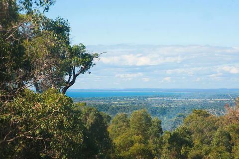 A Hidden Bush Delight - Accommodation BNB 31
