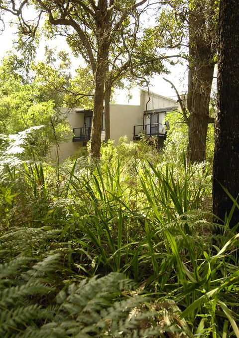 Margarets Forest - Accommodation BNB 41