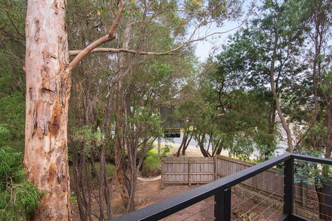 Margarets Forest - Accommodation BNB 12