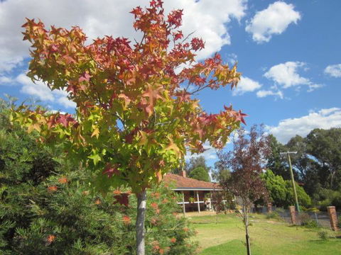 Bridgetown Valley Lodge - Accommodation BNB 40