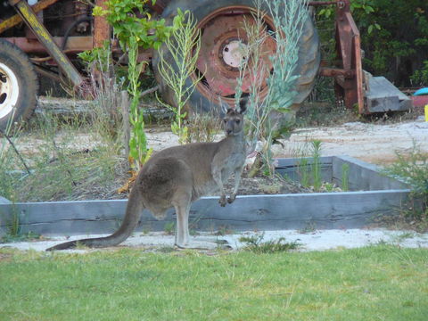Nannup Bush Retreat - Accommodation BNB 38