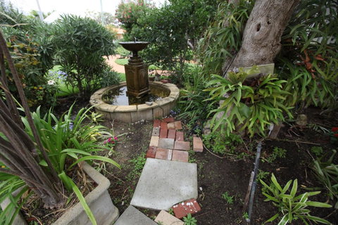 Jacaranda Guest House - Accommodation BNB 32