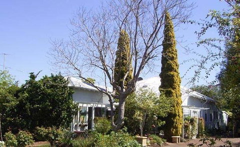 Jacaranda Guest House - Accommodation BNB 37