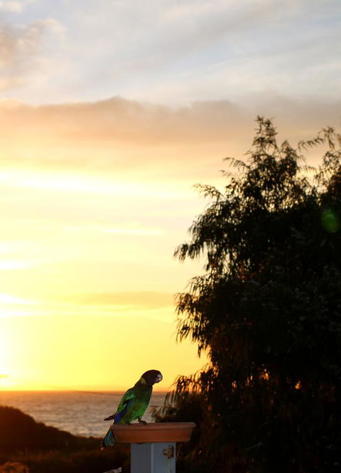 Peppy Beach Ocean Views - Accommodation BNB 12