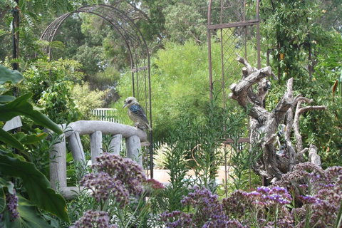 Rosebridge House Bed & Breakfast Adult Retreat - Accommodation BNB 12
