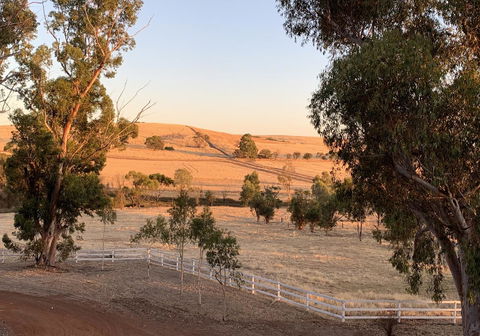 Daisy Cottage - Accommodation BNB 4