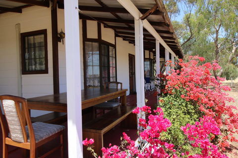 Daisy Cottage - Accommodation BNB 0