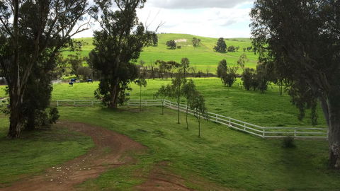 Daisy Cottage - Accommodation BNB 22