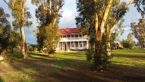 Daisy Cottage - Accommodation BNB 26