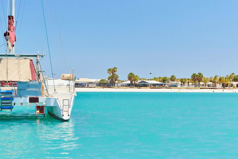 RAC Monkey Mia Dolphin Resort - Accommodation BNB 21