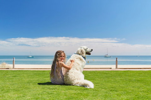 RAC Monkey Mia Dolphin Resort - Accommodation BNB 36