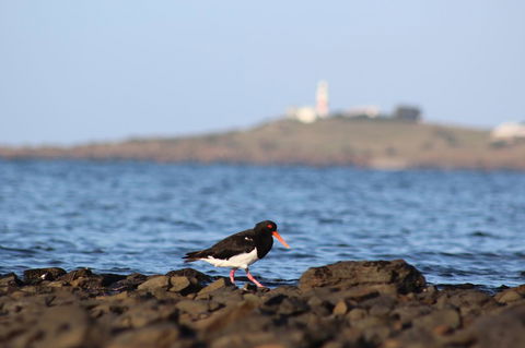 Tamar Solar Home - Accommodation BNB 3