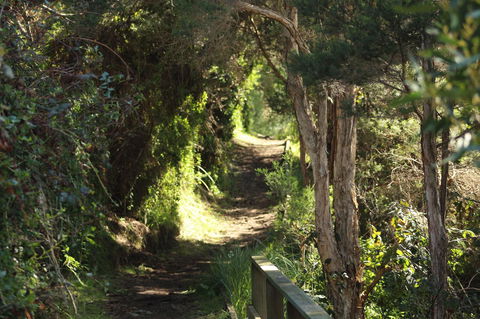 Tamar Solar Home - Accommodation BNB 15