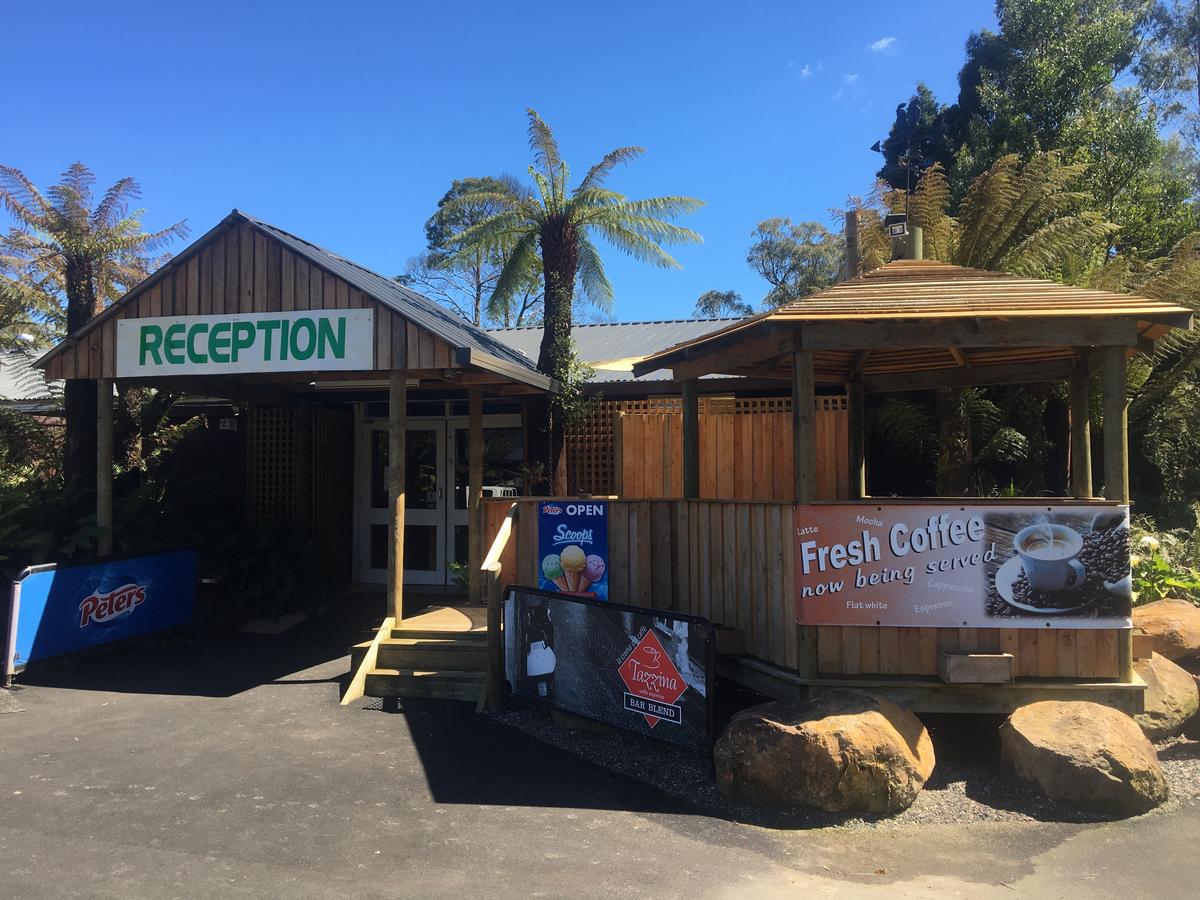  Accommodation BNB
